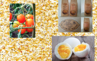 Monachine al sugo